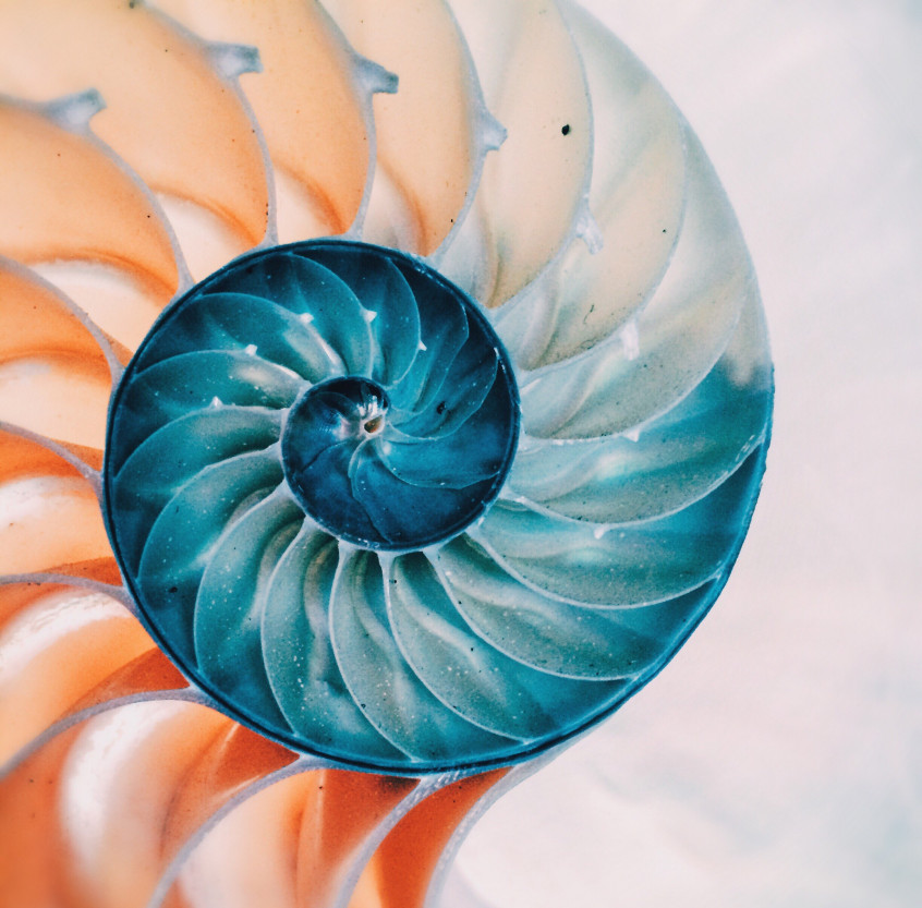 Körperpsychotherapie