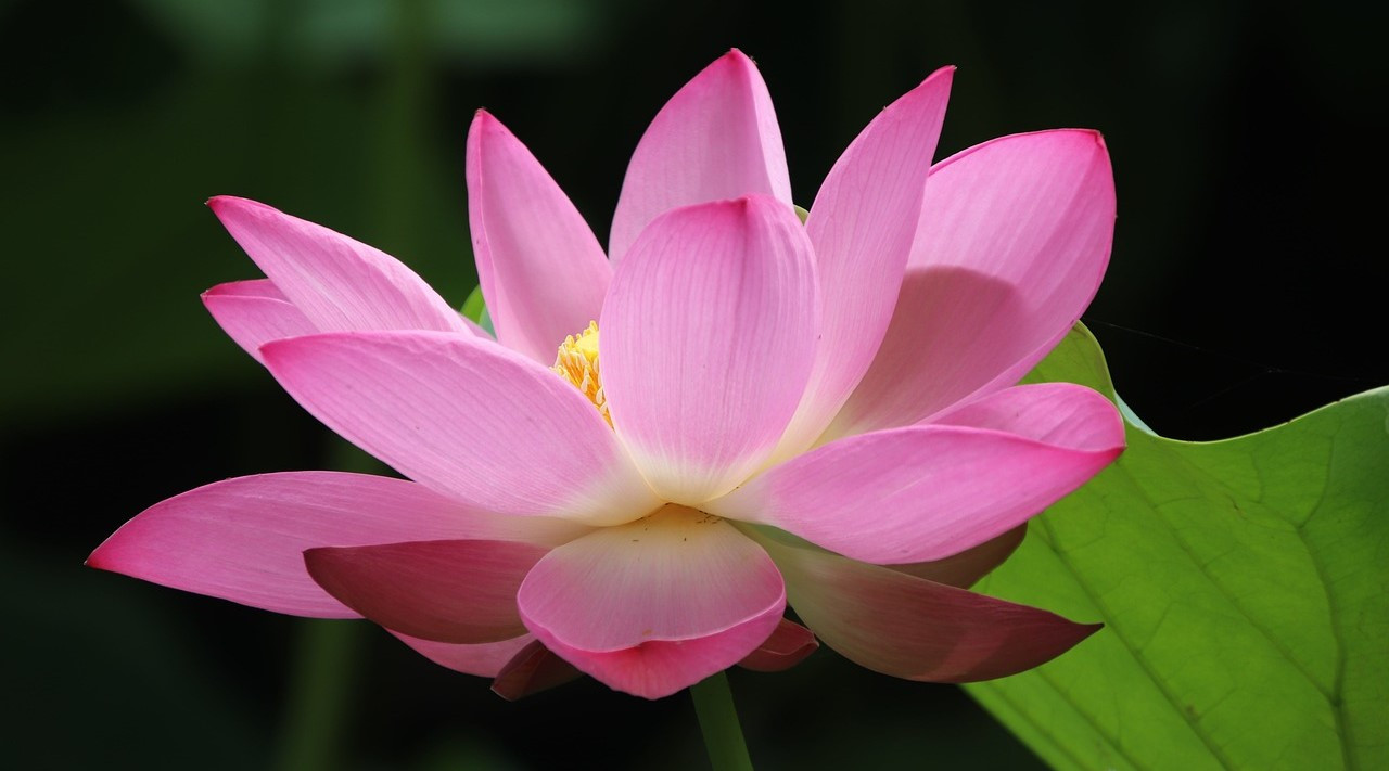 Therapie Workshops Kassel